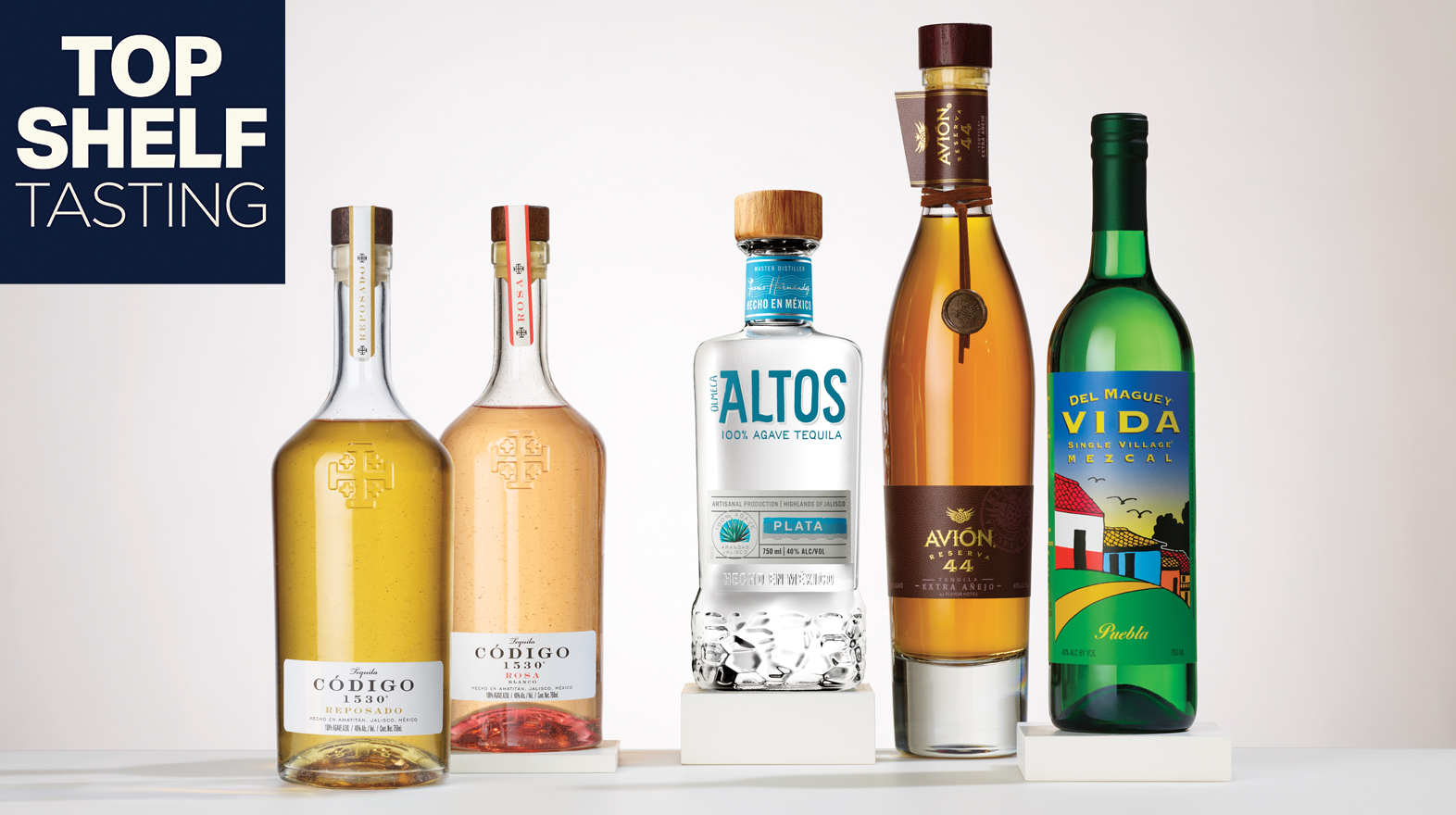 Elevate Your Spring with the Spirit of Agave