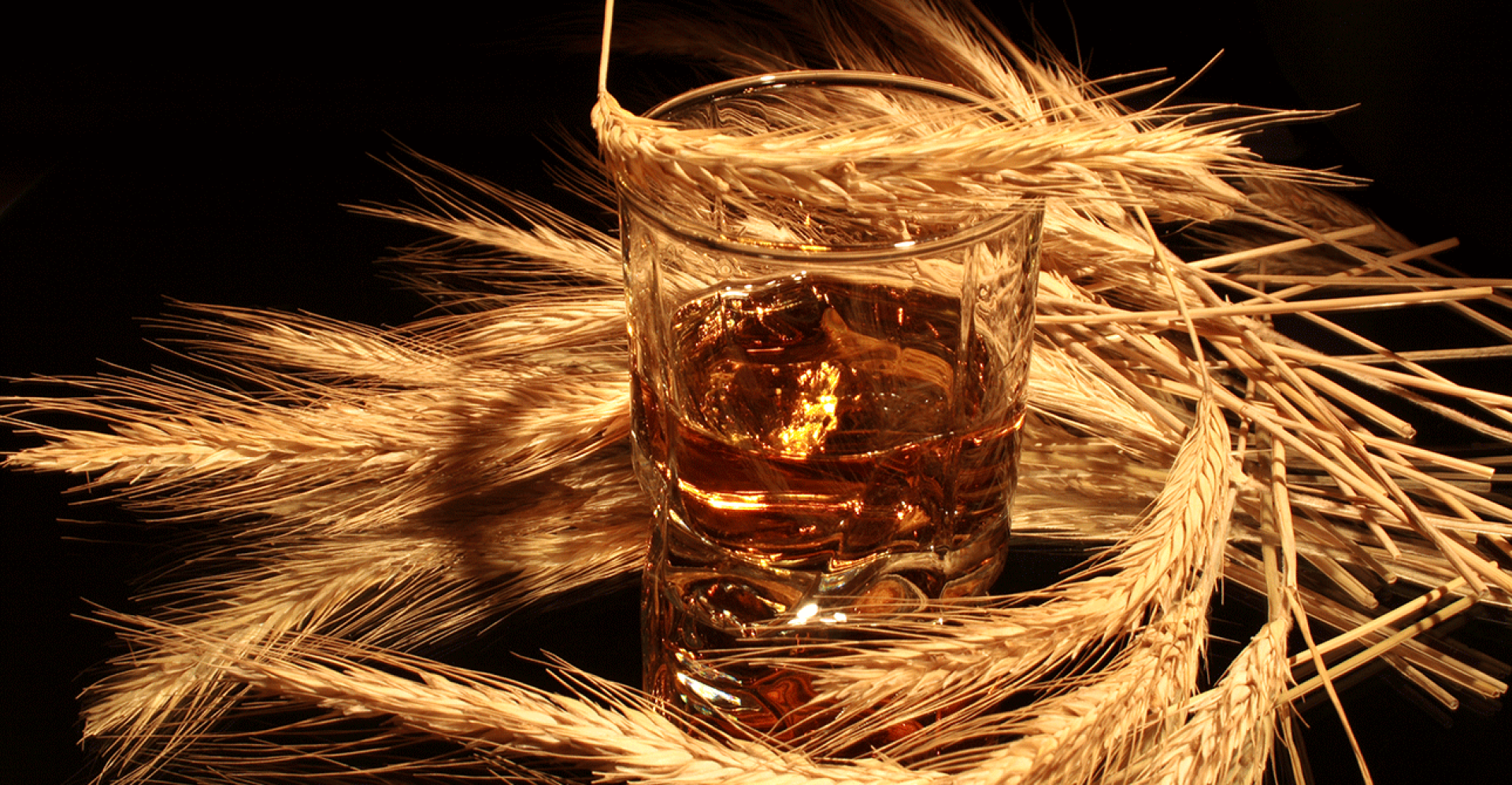 High Rye Bourbons: Whisky Advocate's Recent Favorites