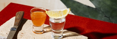 Tequila for Whisky Lovers: How to Serve and Drink It