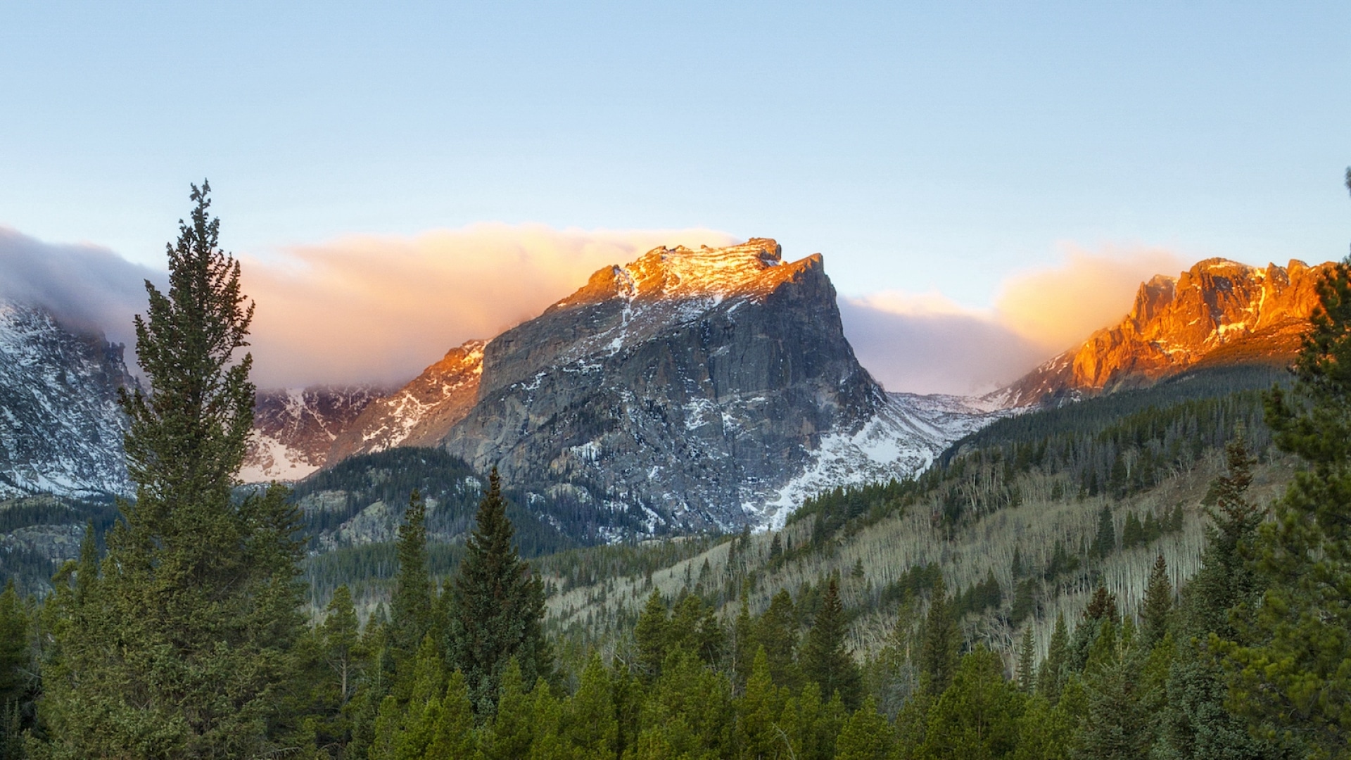 Colorado Distillers Are Making Mountains of Whiskey
