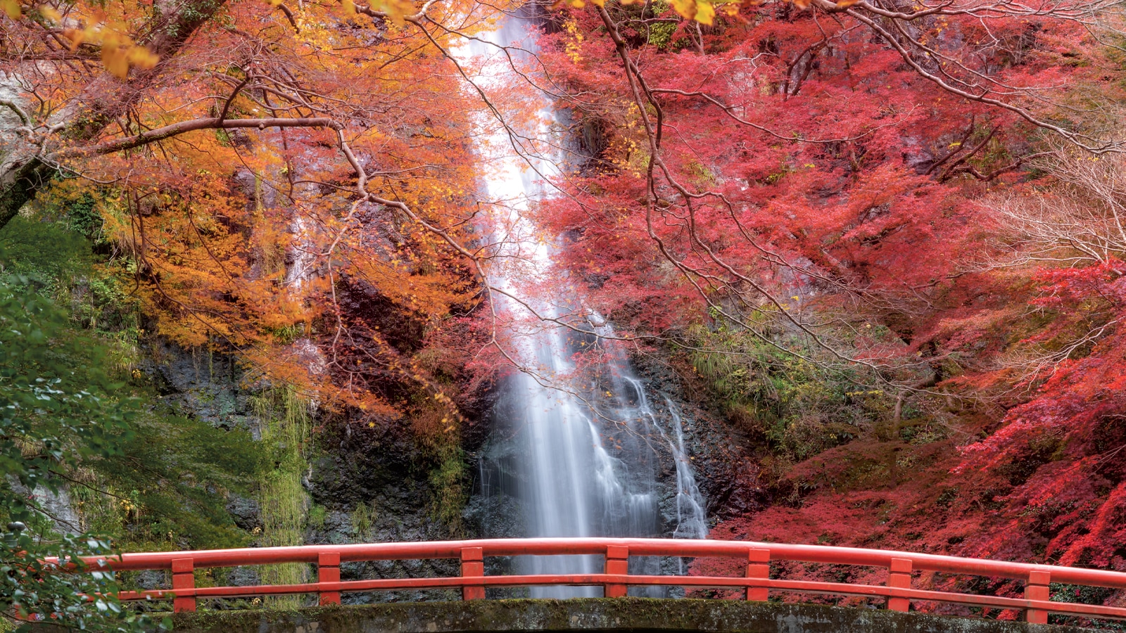 Japan-Micro.jpg