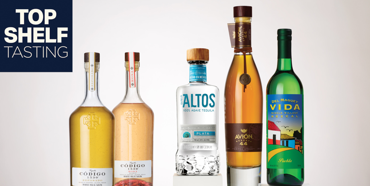 Elevate Your Spring with the Spirit  of Agave