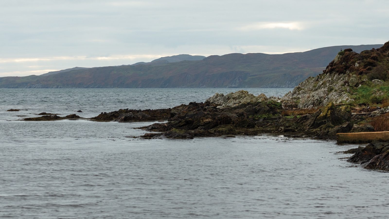 Scotch-TheWater.jpg