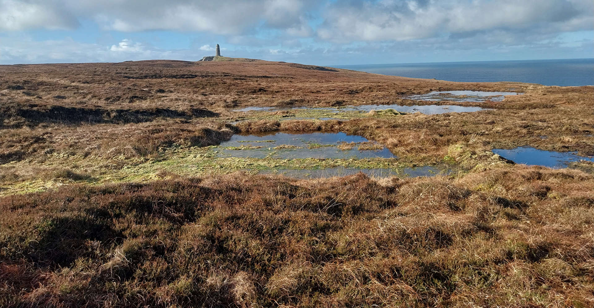 Scotch Whisky Makers Pledge Millions For Islay Peatlands Restoration