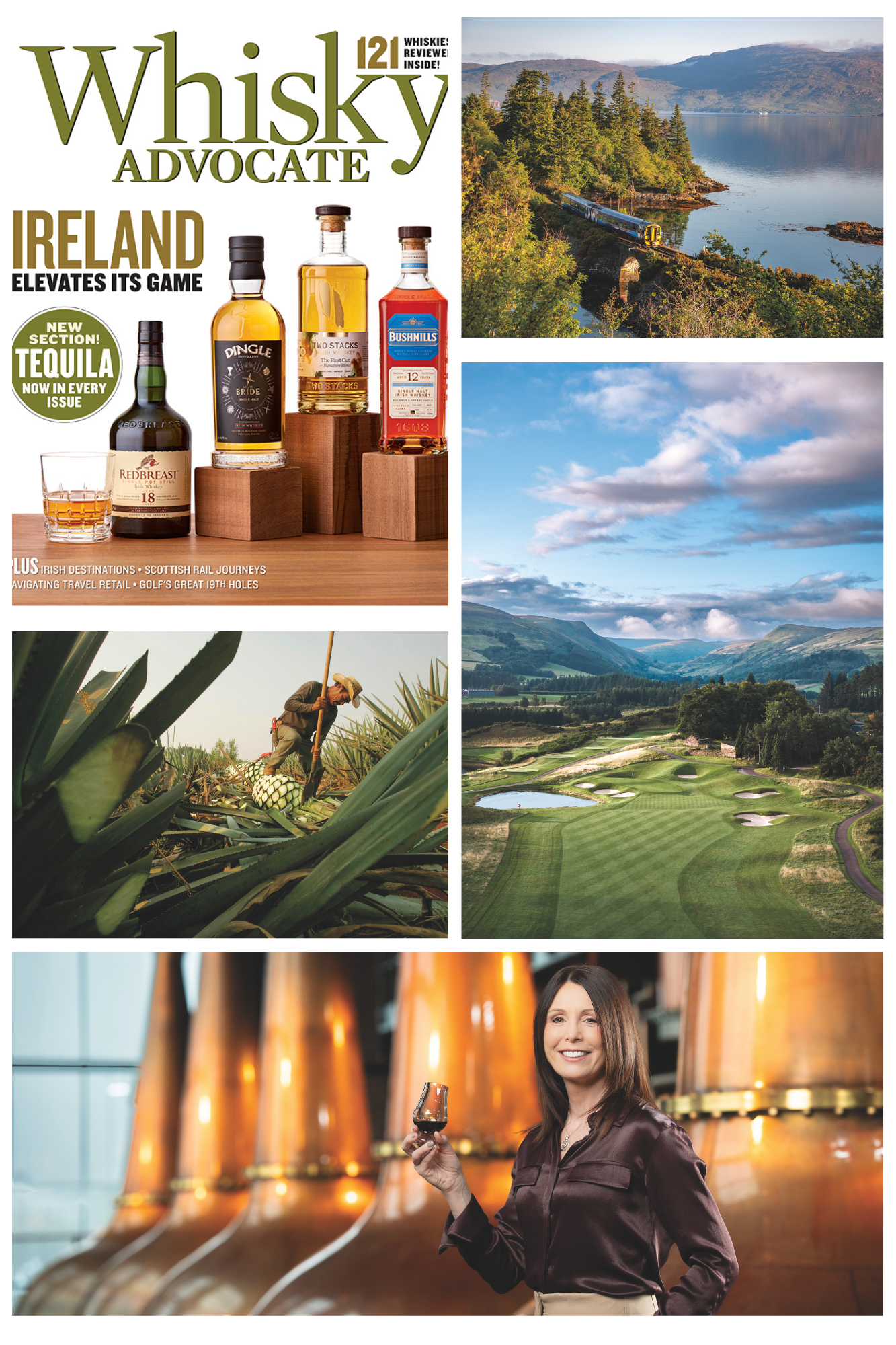 Summer 2025: Ireland Elevates Its Game