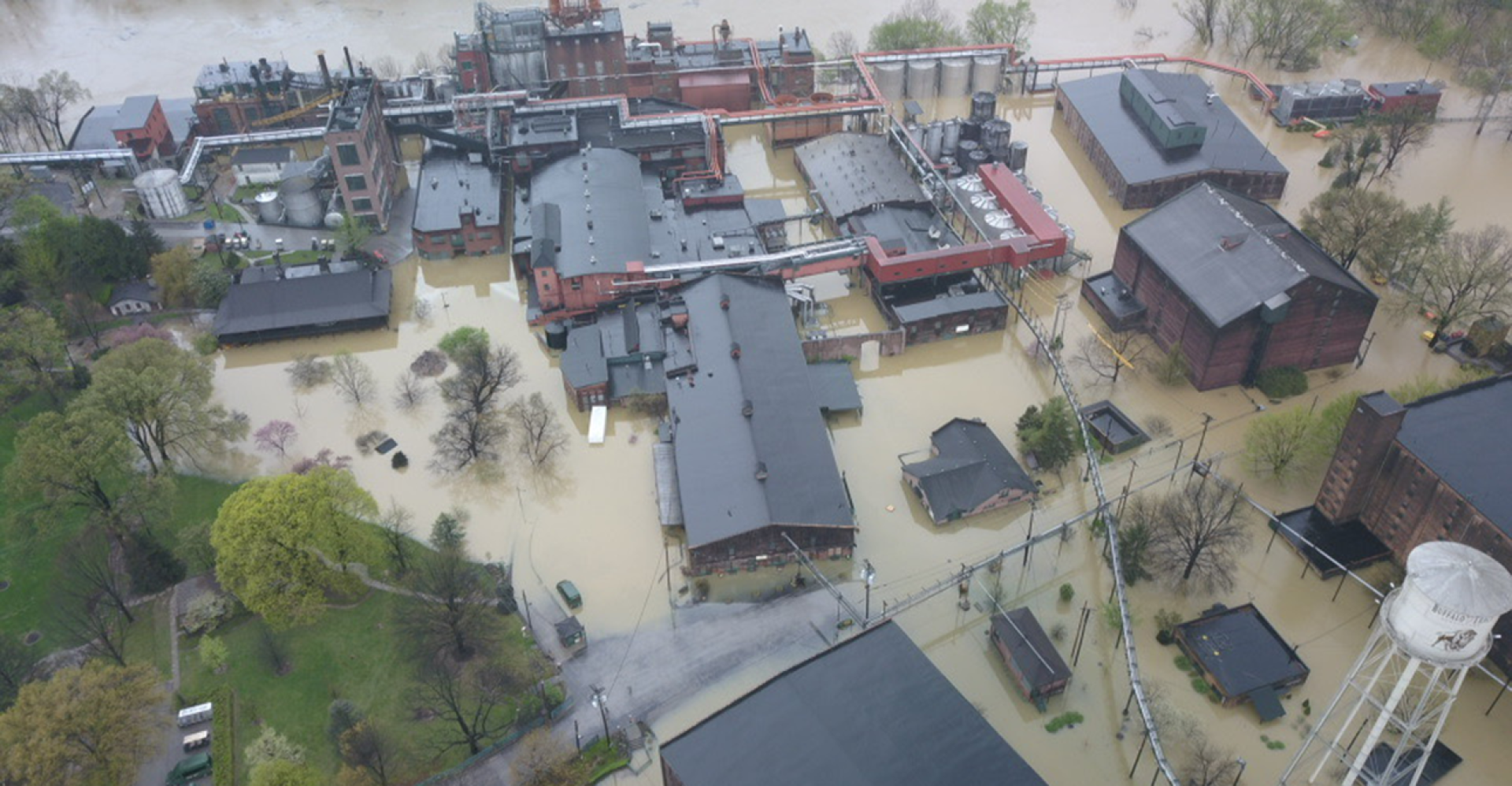 After Last Week's Flooding, Buffalo Trace is Gradually Returning To Normal