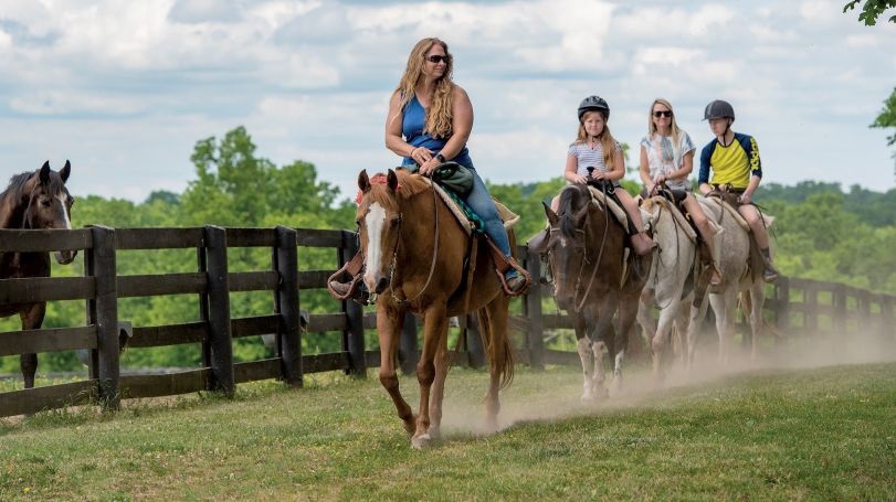 Kentucky Horse Park VISITLEX