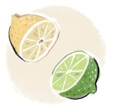 ILLUSTRATION BY STEPHEN COLLINS