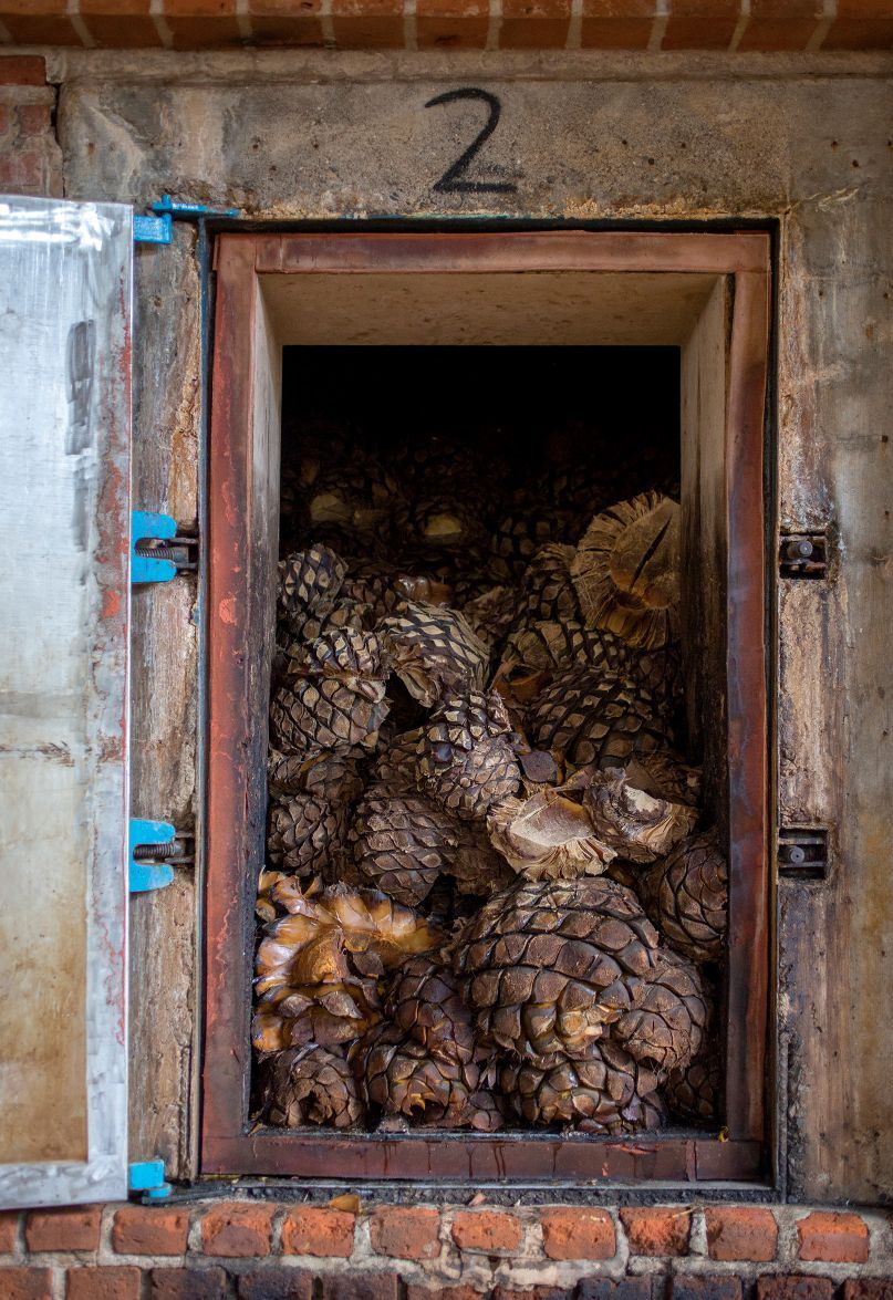 Traditional brick ovens are used at El Tesoro. Cooking takes 42 hours, compared to modern methods that can take 7 to 12 hours.