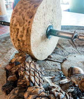 The tahona crushes the cooked piñas, extracting the juice. GETTY IMAGE / ISTOCKPHOTO