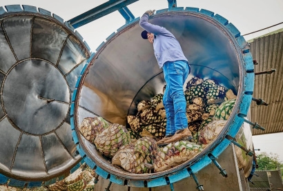 How Cooking Agave Impacts a Tequila's Flavor