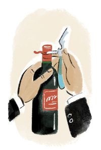 ILLUSTRATION BY STEPHEN COLLINS