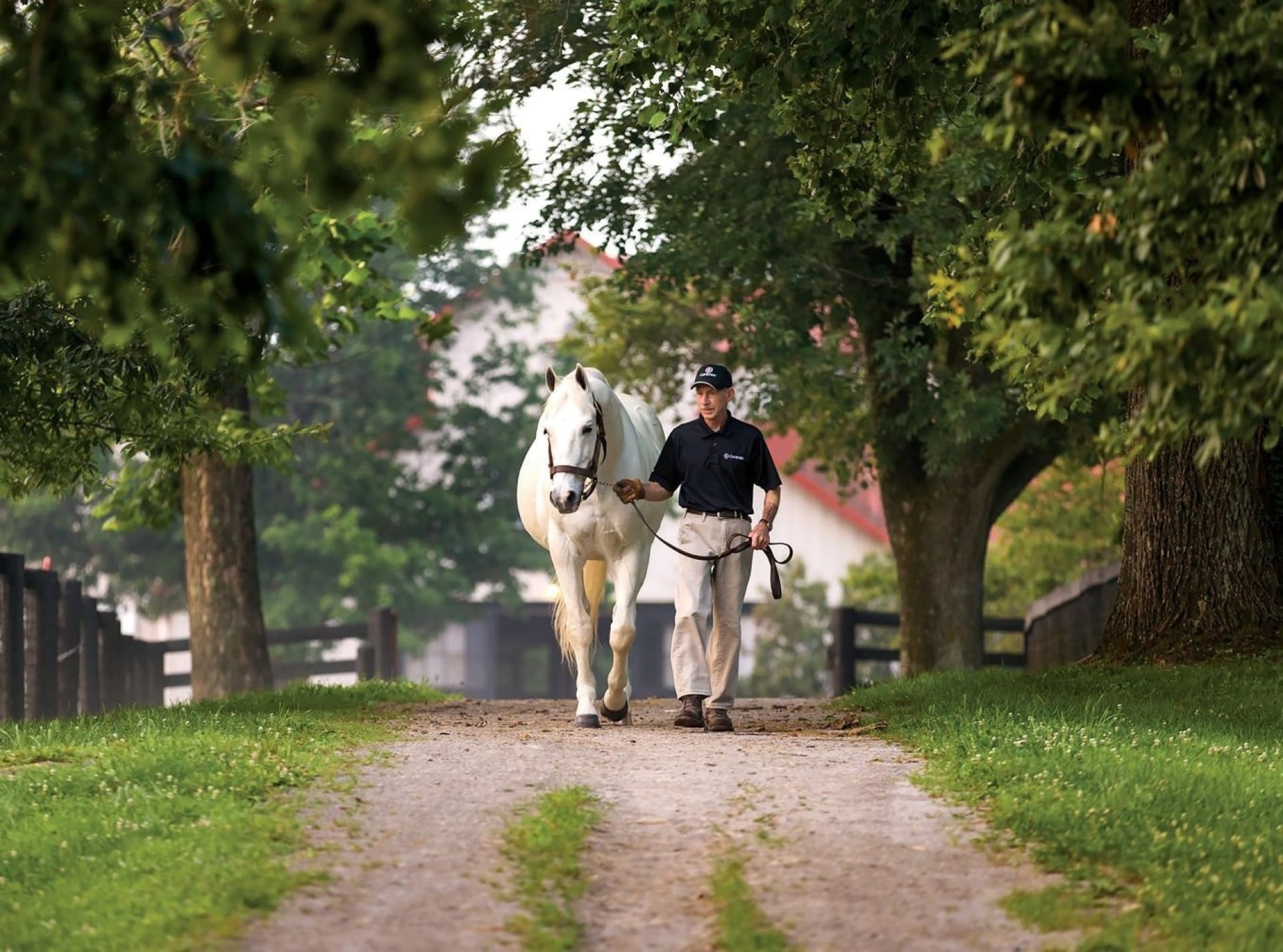 Whisky Lover's Guide to Lexington