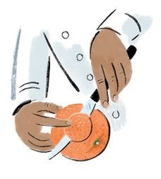 ILLUSTRATION BY STEPHEN COLLINS