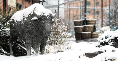 Buffalo Trace is Going &ldquo;Charred & Chilled&rdquo; This February