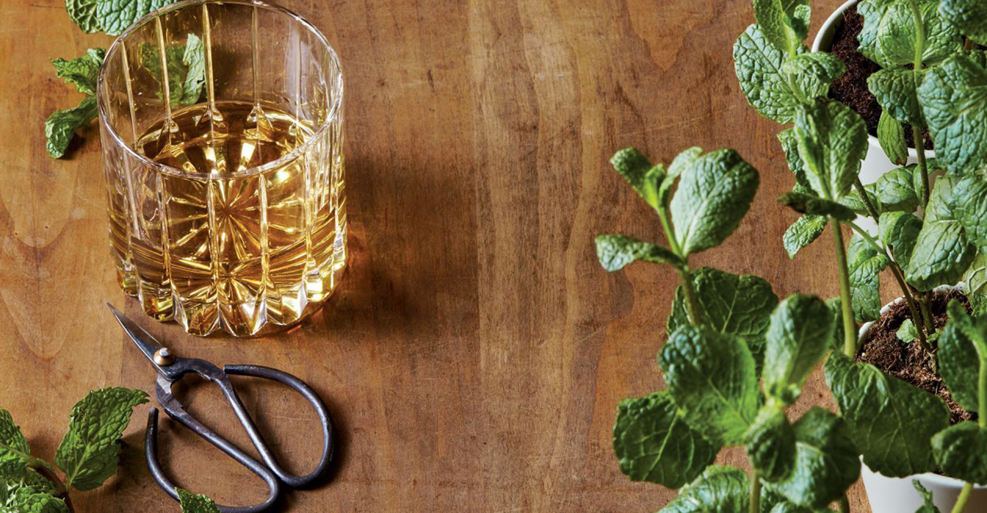 How to Identify the Many Flavors of Mint in Whisky