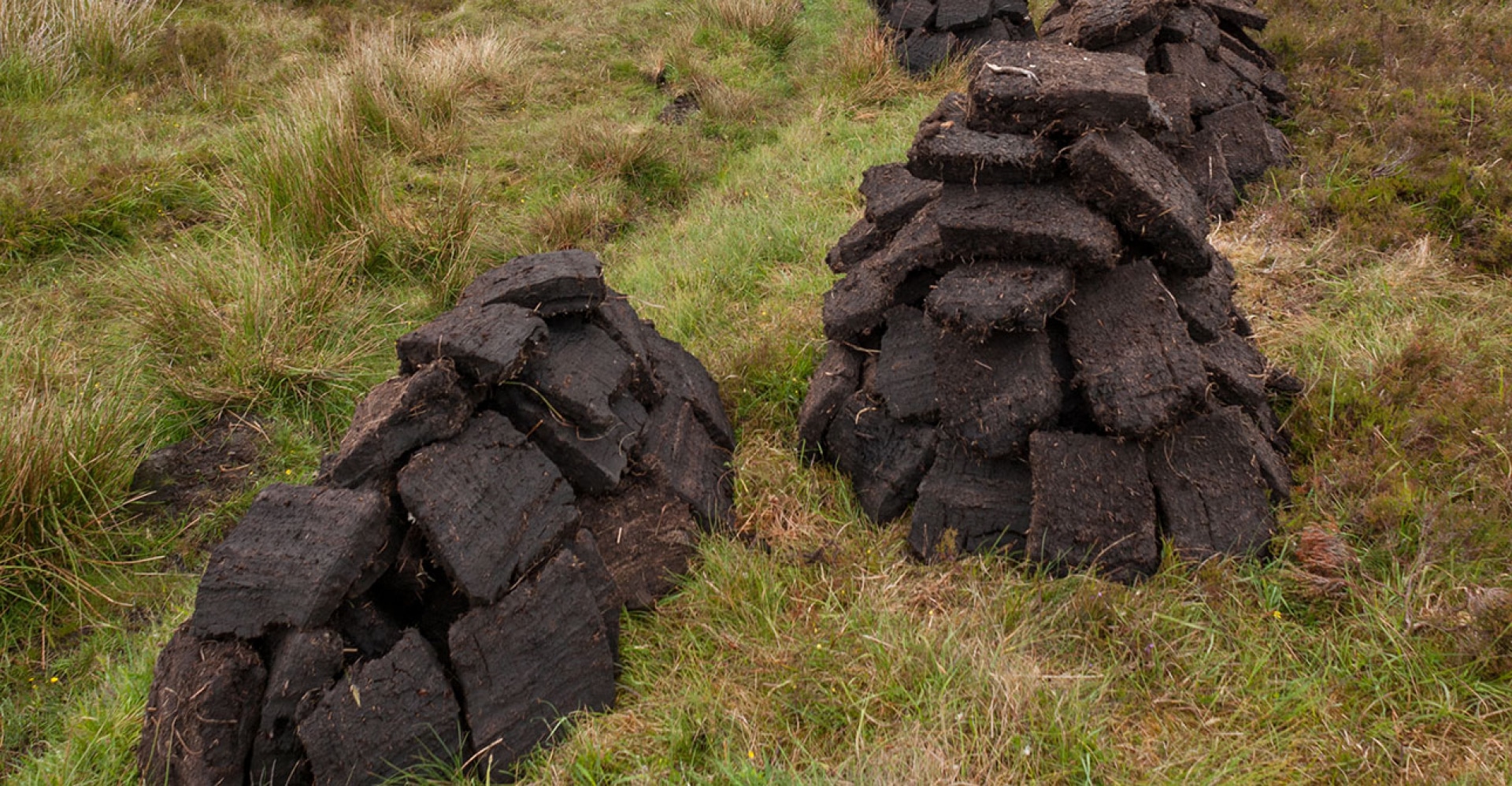 Is Peated Whisky In Peril?