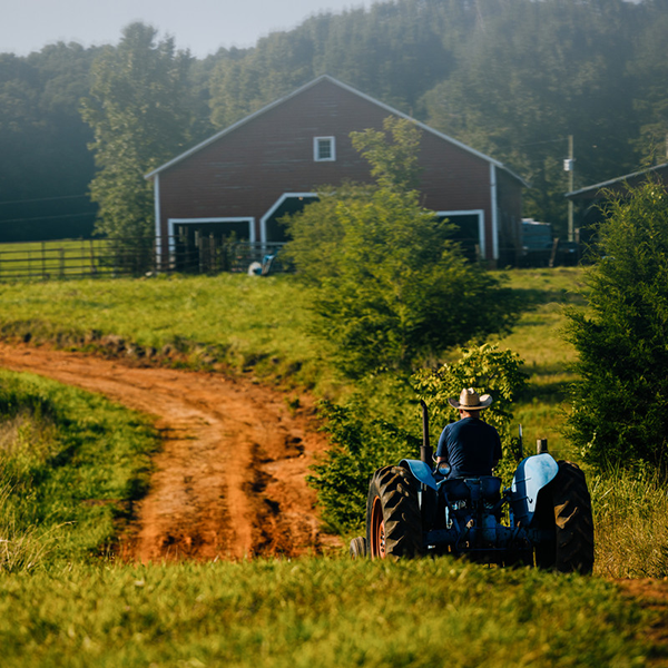 Prepping the fields at North Carolina-based Southern Distilling